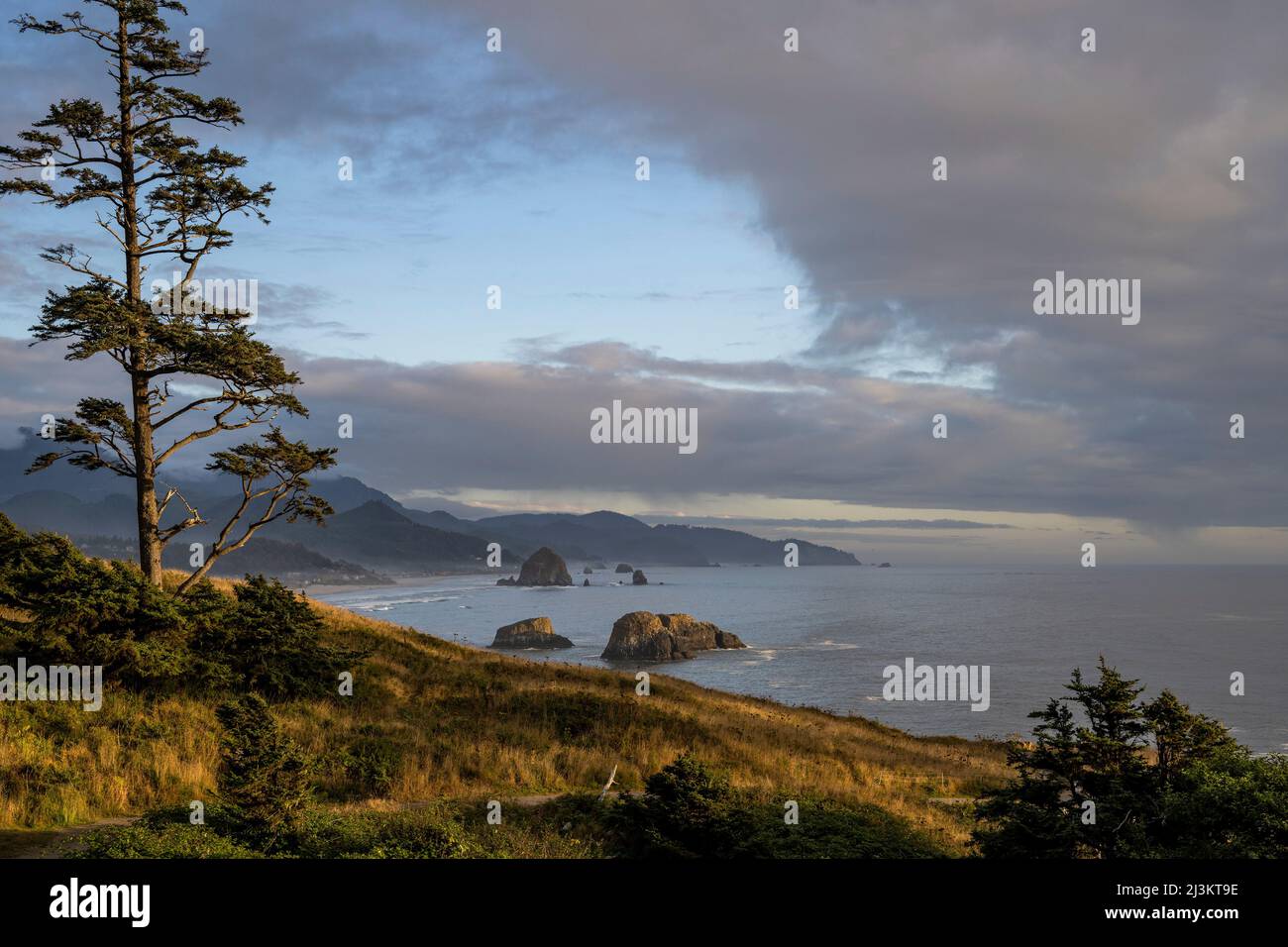 Das Abendlicht taucht Chapman Point im Ecola State Park an der Küste von Oregon; Cannon Beach, Oregon, USA Stockfoto