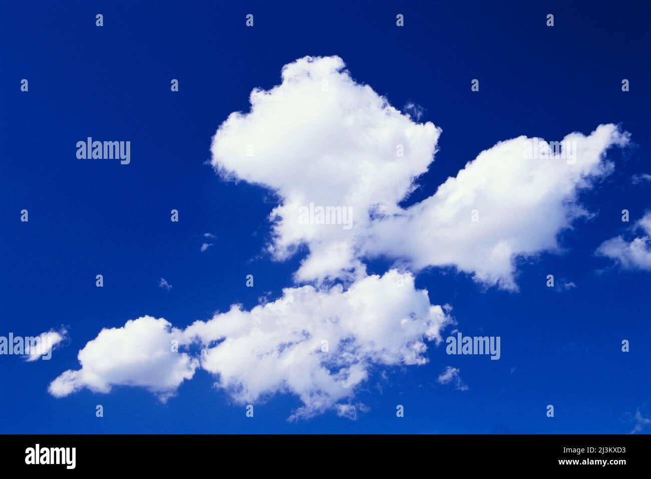 Weiße geschwollene Wolken schweben in hellblauem Himmel; Oregon, Vereinigte Staaten von Amerika Stockfoto