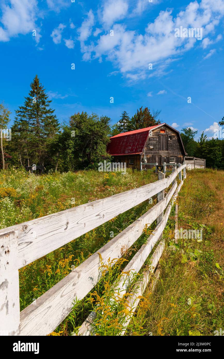 Alte rustikale Scheune und Eisenbahnzaun mit bewachsenem Feld; Laurentides, Quebec, Kanada Stockfoto