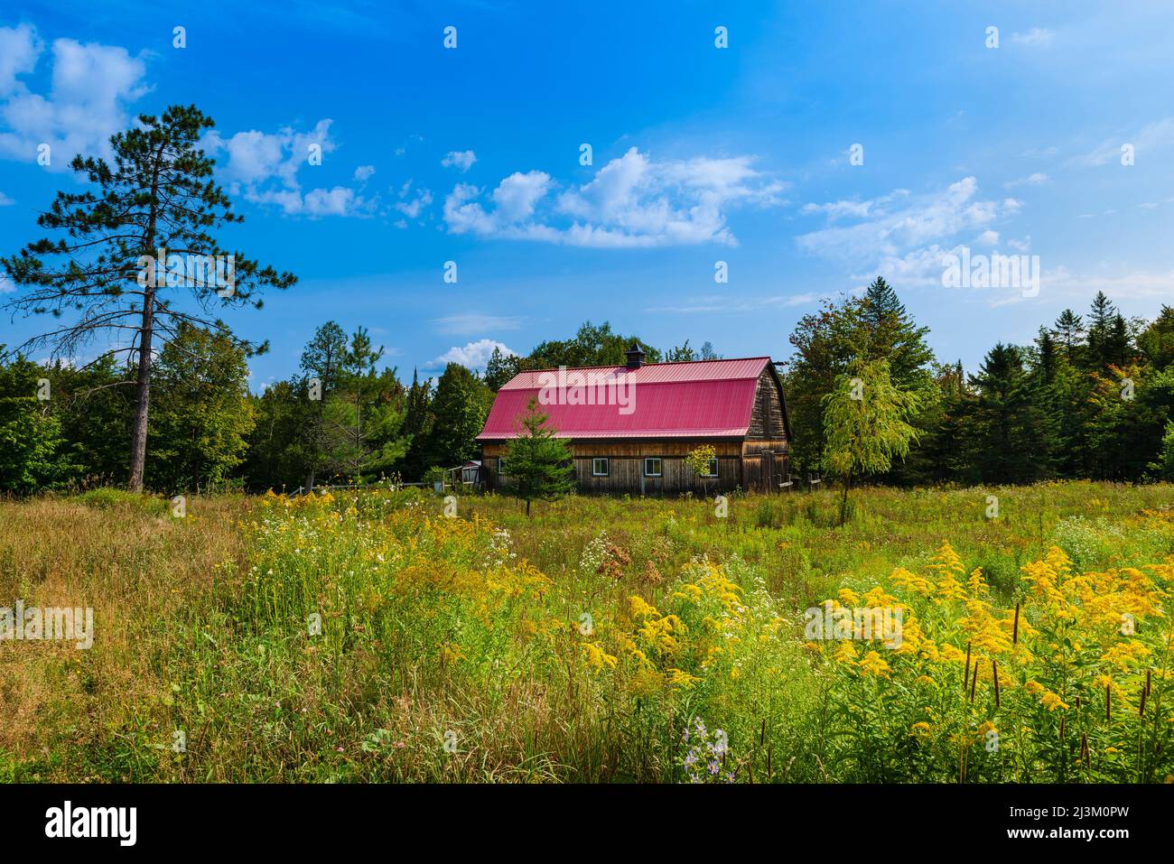 Alte rustikale Scheune; Laurentides, Quebec, Kanada Stockfoto