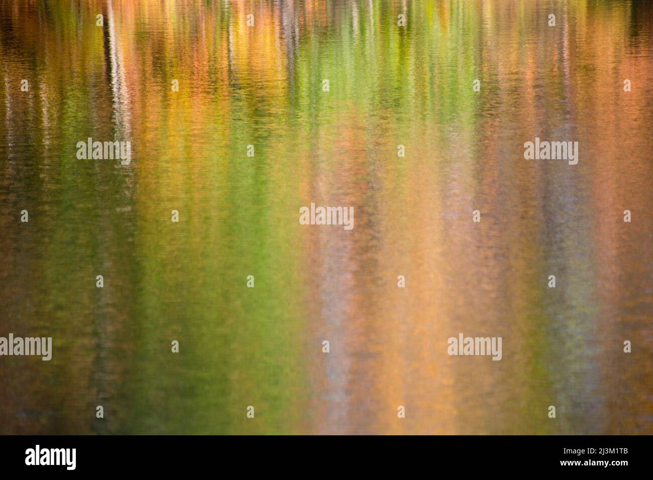 Reflexionen von Herbstfarben in einem Teich; Ohio, Vereinigte Staaten von Amerika Stockfoto