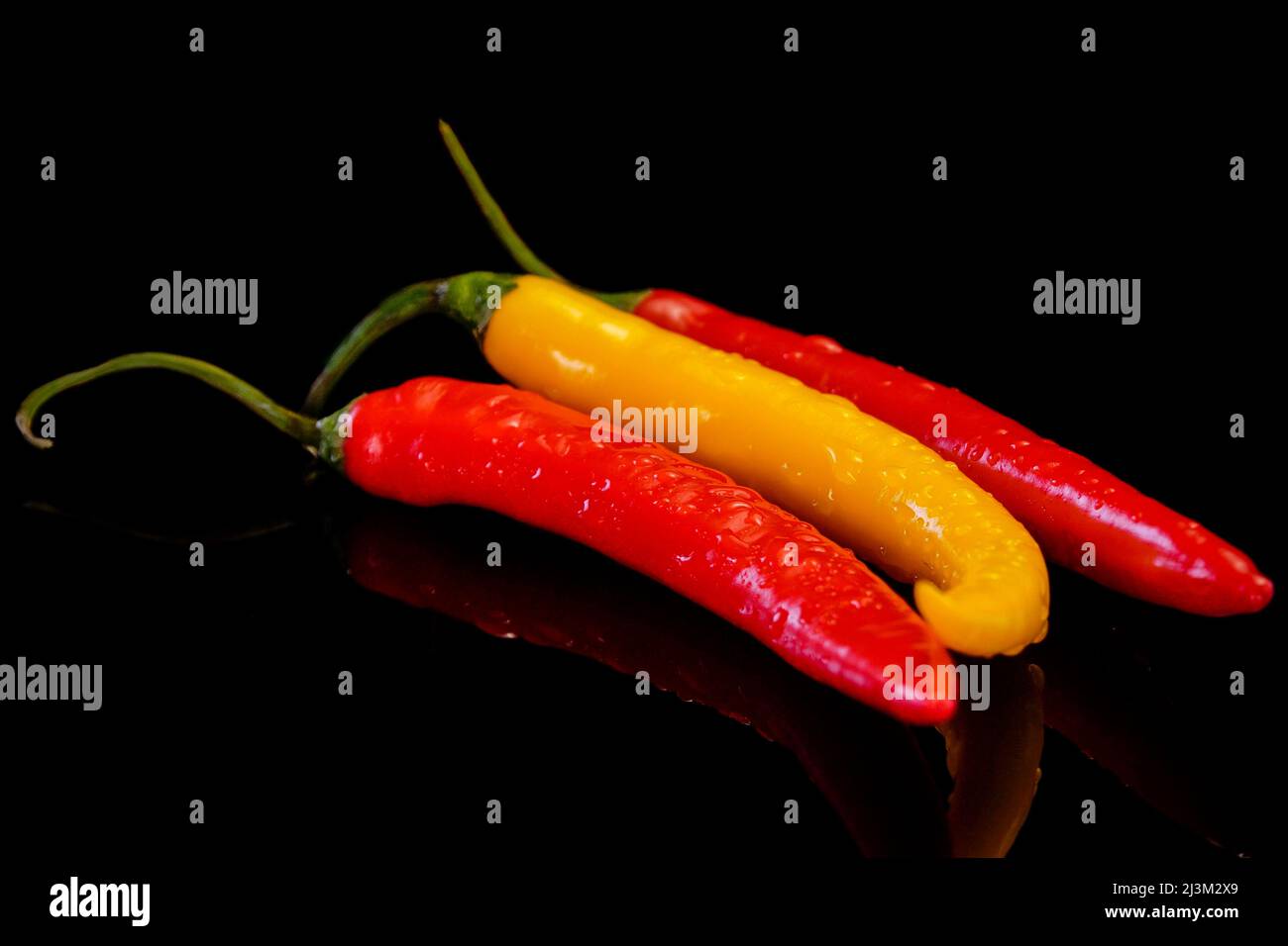 Chilischoten auf schwarzem Hintergrund. Frischer roter und gelber scharfer Chilischote. Stockfoto