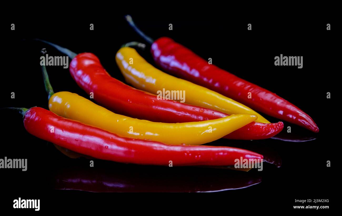 Chilischoten auf schwarzem Hintergrund. Frischer roter und gelber scharfer Chilischote. Stockfoto