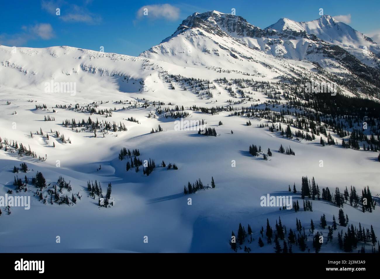 Ein Schneefeld, Bäume und Berge.; Selkirk Mountains, British Columbia, Kanada. Stockfoto
