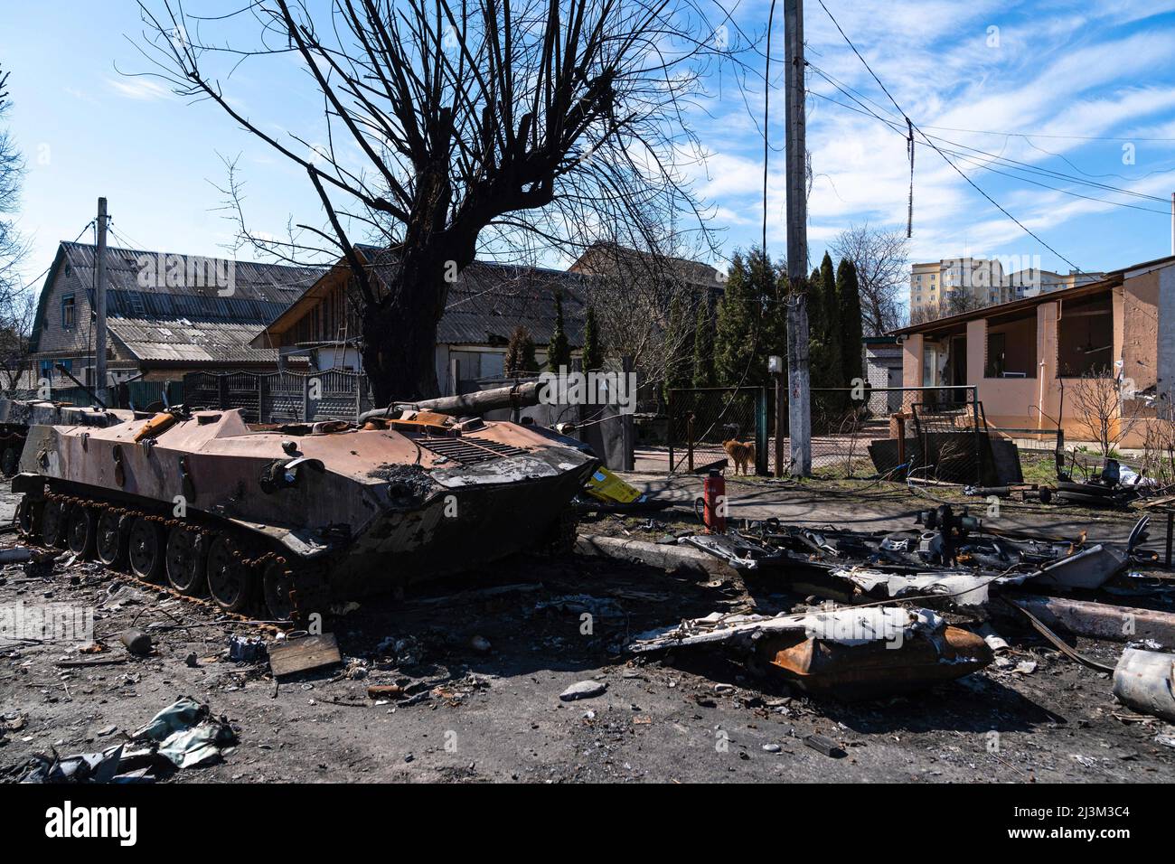 Nach der Befreiung der Stadt von russischen Eindringlingen, Bucha, Region Kiew, Nordukraine, April 7, wird ein zerstörtes Militärfahrzeug auf einer Straße gesehen. 2022. Nach Angaben des Bürgermeisters wurden nach einem Massenmord in Bucha mehr als 300 Einwohner der Stadt tot aufgefunden. Die Ukraine hat den IStGH gebeten, zu untersuchen, was in der Stadt im Rahmen ihrer laufenden Untersuchung der Invasion geschehen ist, um festzustellen, ob eine Reihe von russischen Kriegsverbrechen begangen wurden.[die russischen Behörden haben die Verantwortung verweigert und behauptet, dass die Ukraine Aufnahmen des Ereignisses gefälscht oder inszeniert hat Tötungen Stockfoto