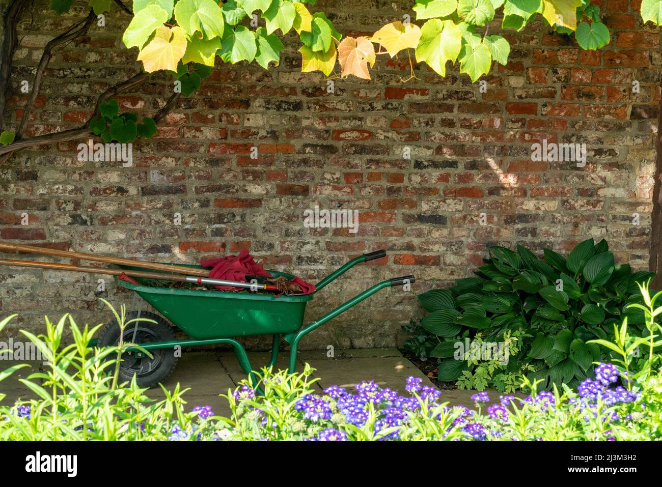 Gardening Essentials in einer Schubkarre entlang einer Backsteinmauer in einem Wohnhof; Darlington, Durham, England Stockfoto