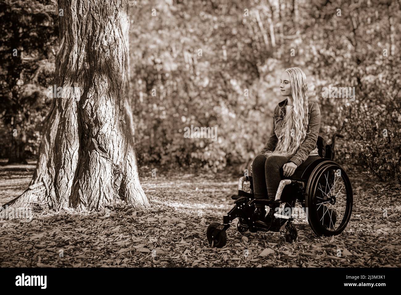 Eine junge querschnittsgelähmte Frau in ihrem Rollstuhl an einem schönen Herbsttag in einem Park; Edmonton, Alberta, Kanada Stockfoto