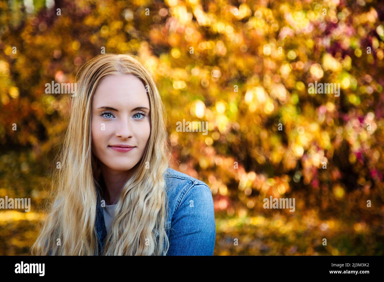 Eine junge querschnittsgelähmte Frau an einem schönen Herbsttag in einem Park; Edmonton, Alberta, Kanada Stockfoto