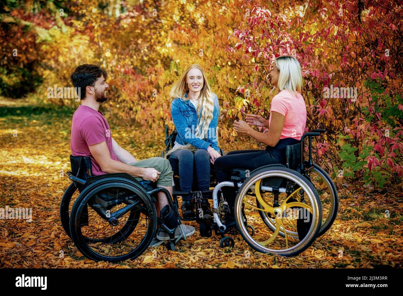 Eine Gruppe von drei jungen Querschnittsgelähmten, die an einem schönen Herbsttag gemeinsam in einem Park in Edmonton, Alberta, Kanada, unterwegs waren Stockfoto