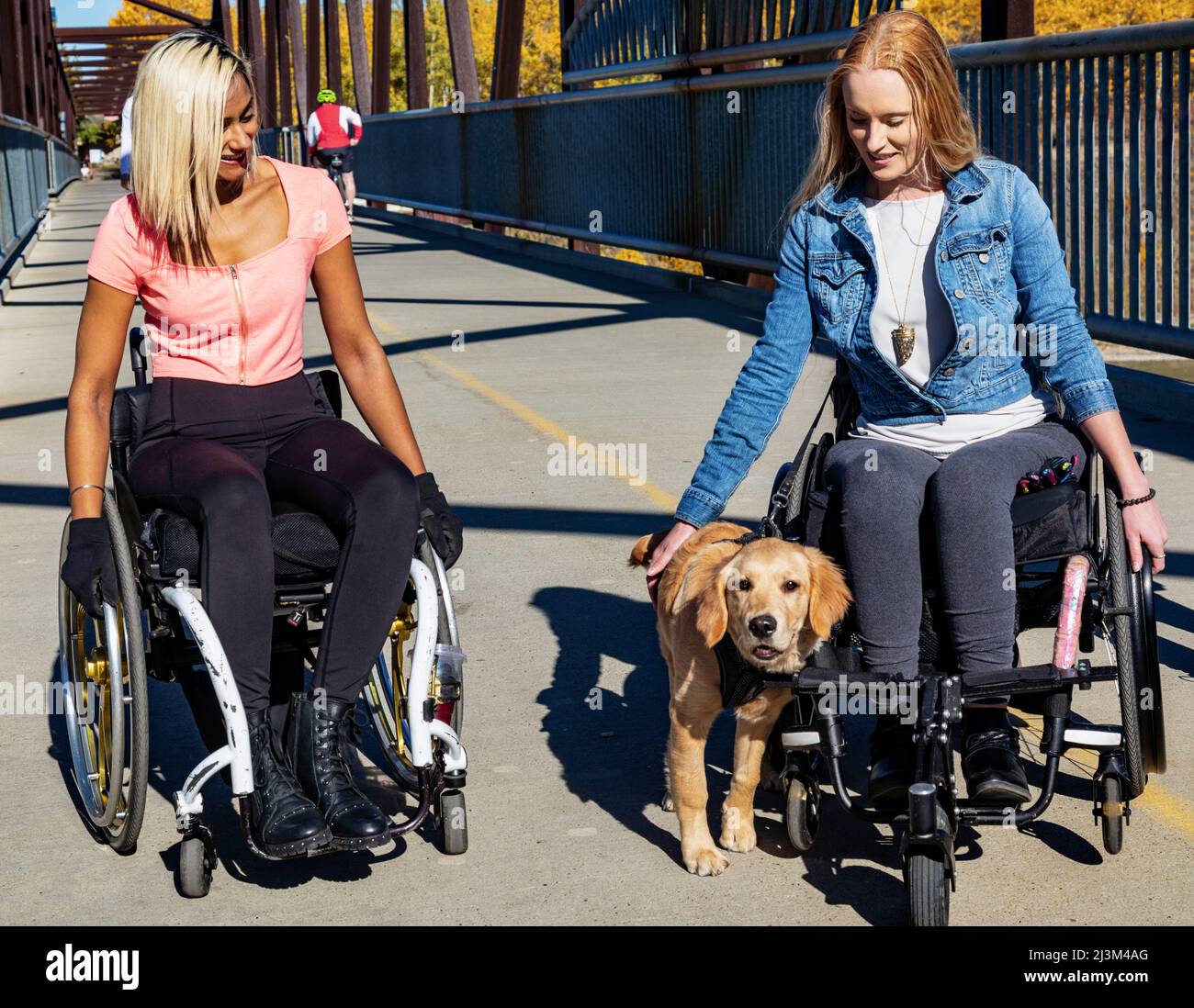 Zwei junge querschnittsgelähmte Frauen in ihren Rollstühlen, die an einem schönen Herbsttag in einem Park sitzen und einen Hund auf einer Brücke streicheln; Edmonton, Alberta, Kanada Stockfoto