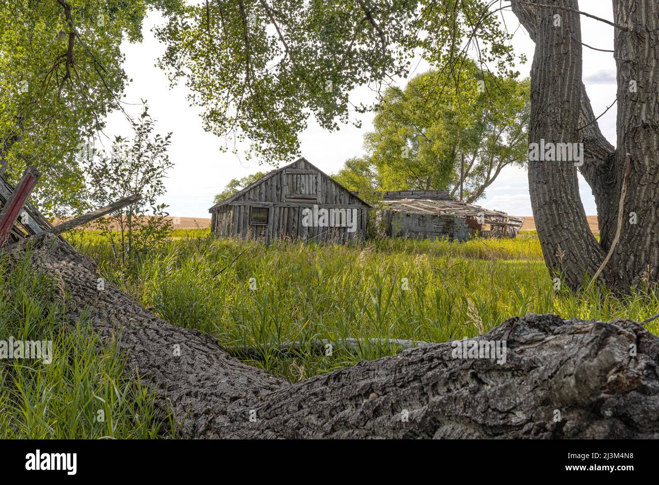 Verlassene Hütte und Werkzeugschuppen im ländlichen Saskatchewan; Saskatchewan, Kanada Stockfoto
