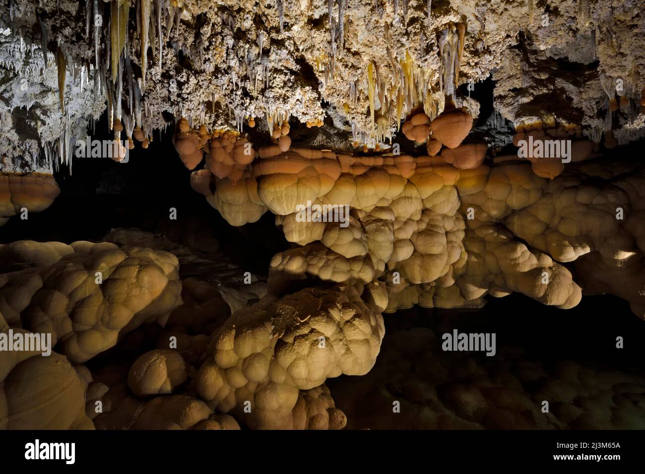 Höhlenmammillaren am Ende der Stalaktiten am Castrovalva-See in der Lechuguilla-Höhle.; Carlsbad Caverns National Park, New Mexico. Stockfoto