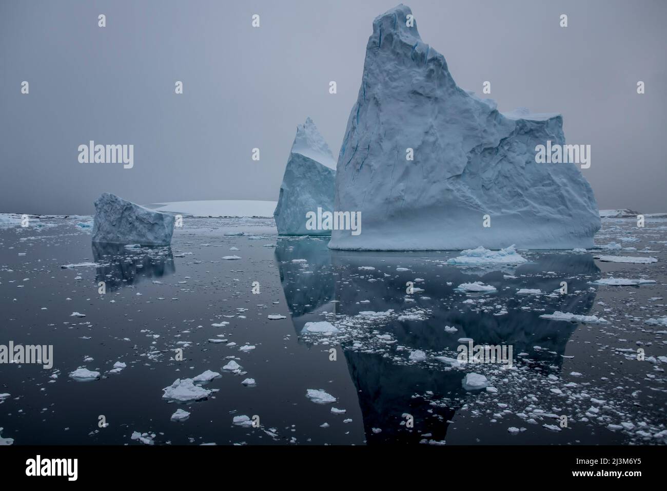 Eisberge spiegeln sich in ruhigem Wasser im Lemaire Channel; Antarktis Stockfoto