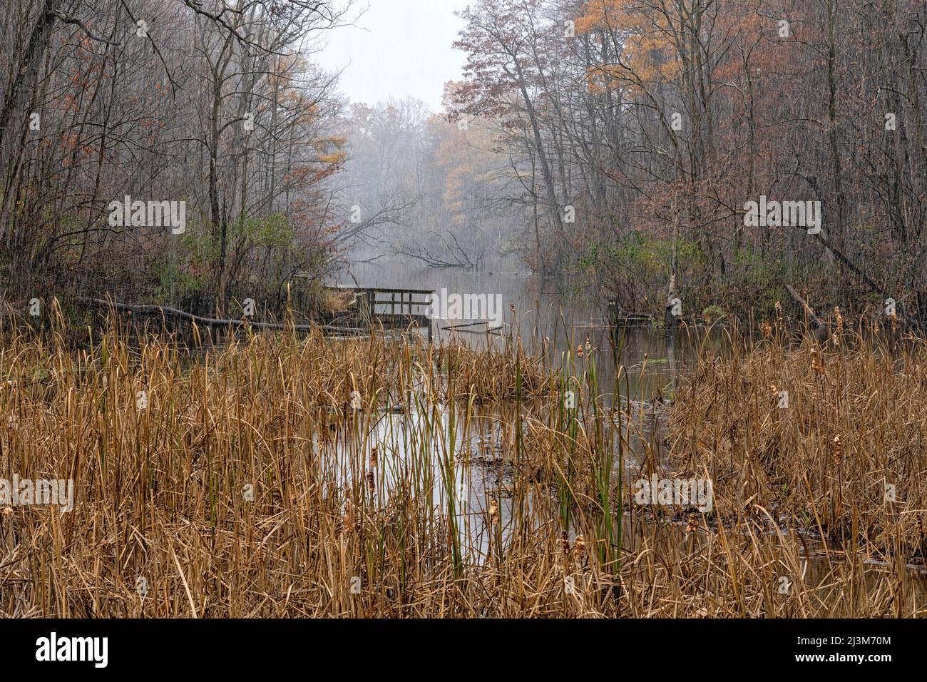 Schnee fällt im Herbst sanft über einen Teich in Ontario; London, Ontario, Kanada Stockfoto