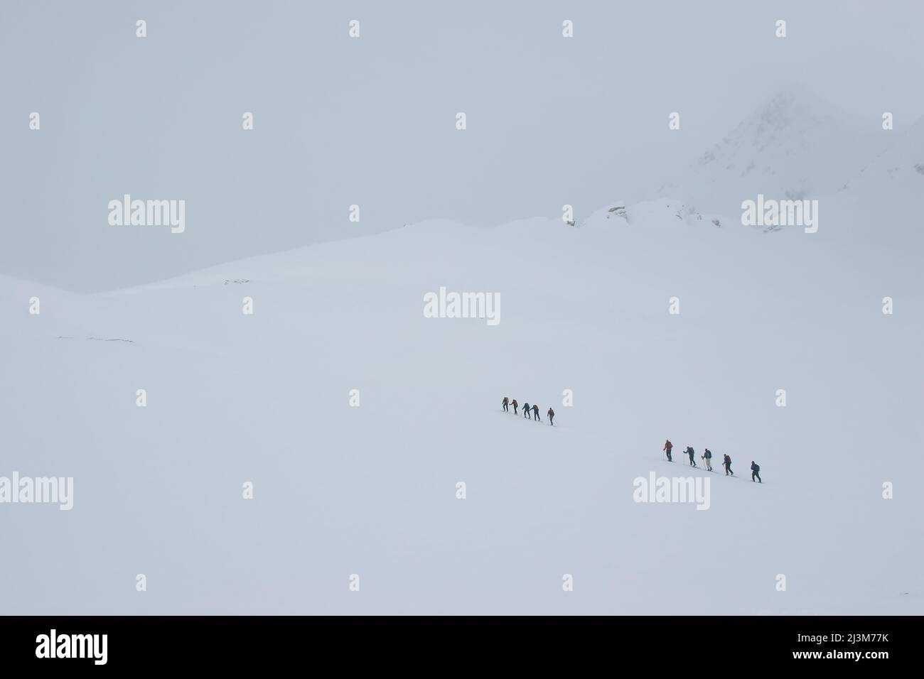 Eine Gruppe von Skifahrern im Backcountry, die bei schlechter Sicht bergauf fahren.; Selkirk Mountains, British Columbia, Kanada. Stockfoto