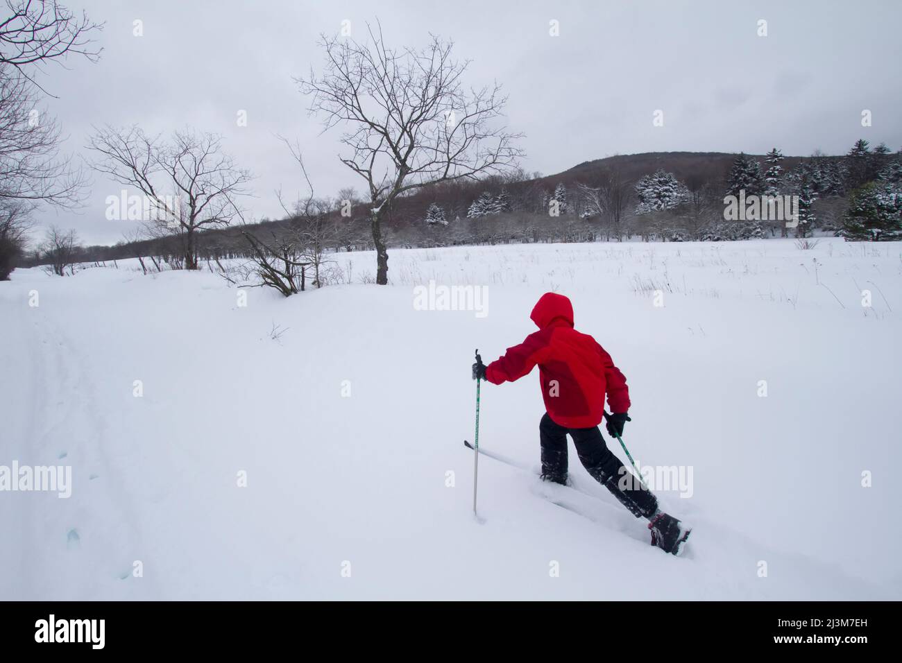 Ein neunjähriger Junge fährt nach einem Sturm durch tiefen Schnee.; Canaan Valley, West Virginia. Stockfoto