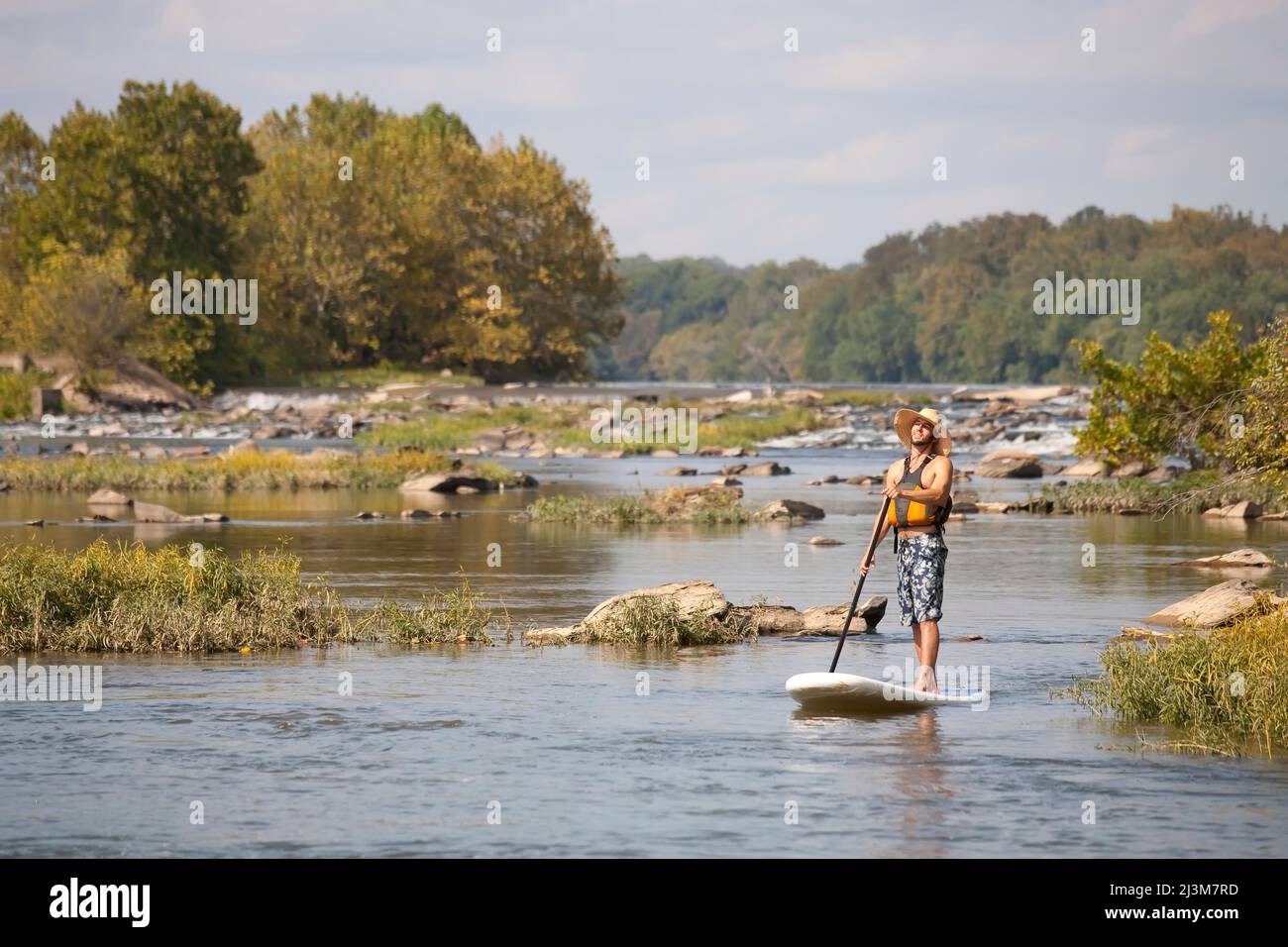 Ein Mann auf einem Stand-up-Paddle-Board im Potomac River; Bethesda, Maryland. Stockfoto