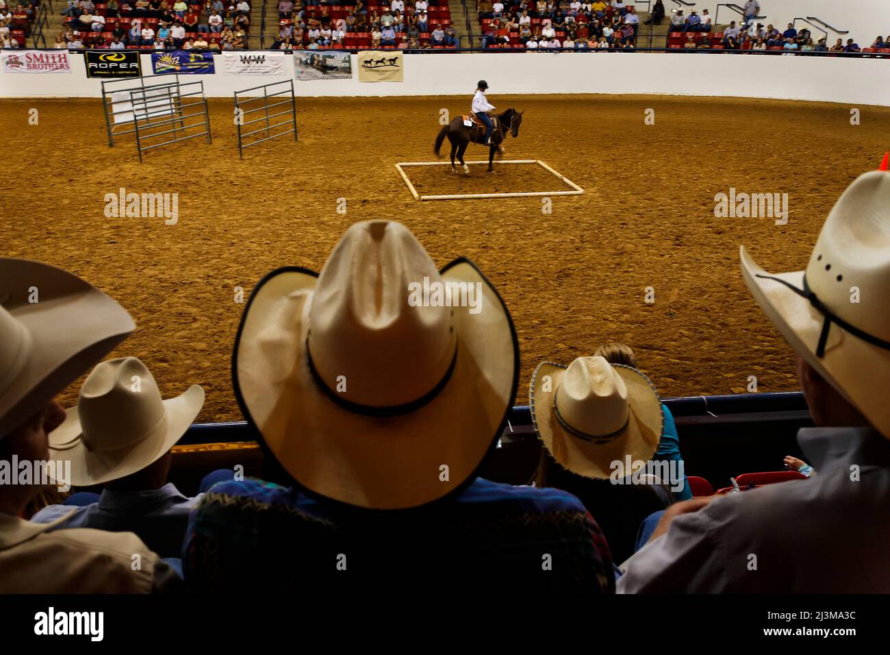 Die Zuschauer sehen den Extreme Mustang Makeover Competition; Fort Worth, Texas, USA Stockfoto