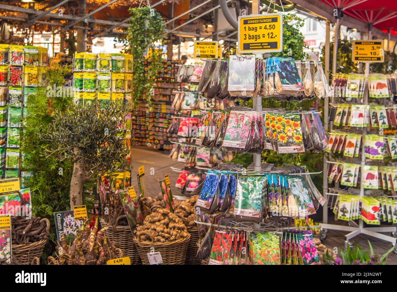 Amsterdam, Niederlande, April 2022. Ausstellungen von Blumenzwiebeln auf dem Blumenmarkt in Amsterdam. Hochwertige Fotos Stockfoto