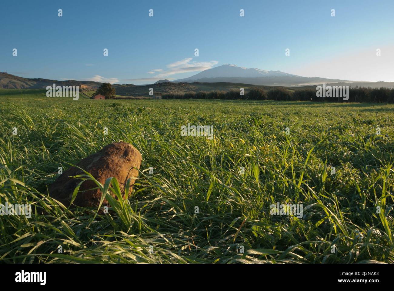 Ein Stein im grünen Gras auf dem Hintergrund Vulkan Ätna und klaren Himmel, Italien Stockfoto