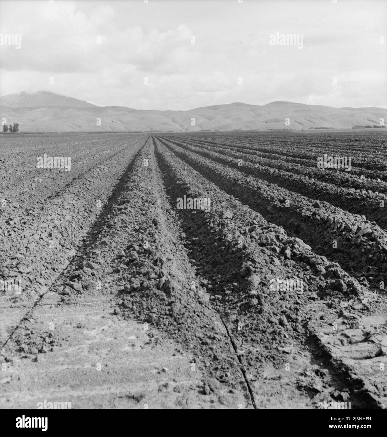 Frisch gepflügte Zuckerrübenfelder in der Nähe von King City. Zeigt einen großen Umfang von landwirtschaftlichen Betrieben in Kalifornien. Stockfoto