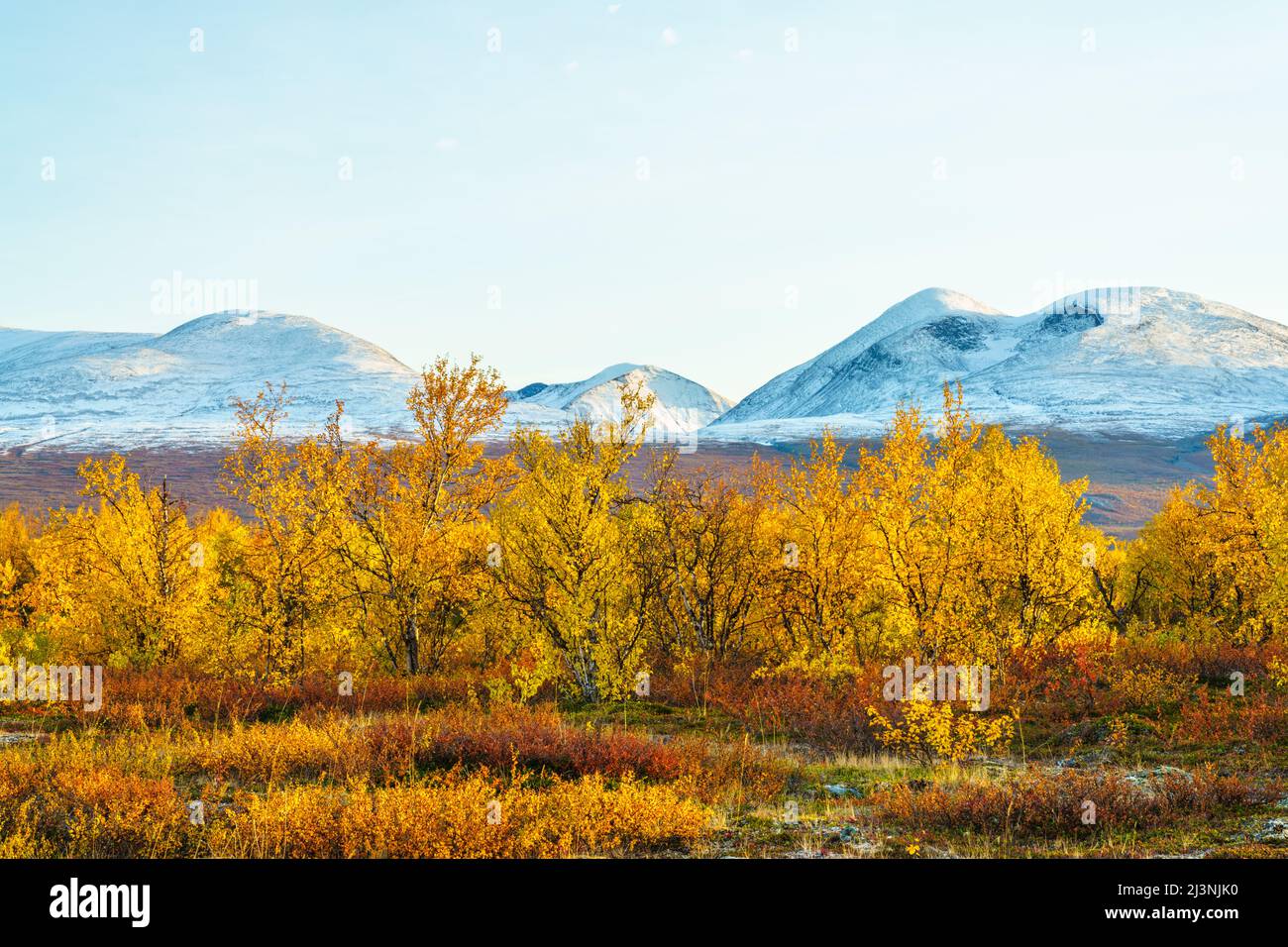 Herbstansicht über Landschaft in Abisko mit bunten Birken und Berg mit Schnee auf der Spitze, Abisko, Schwedisch Lappland, Schweden Stockfoto