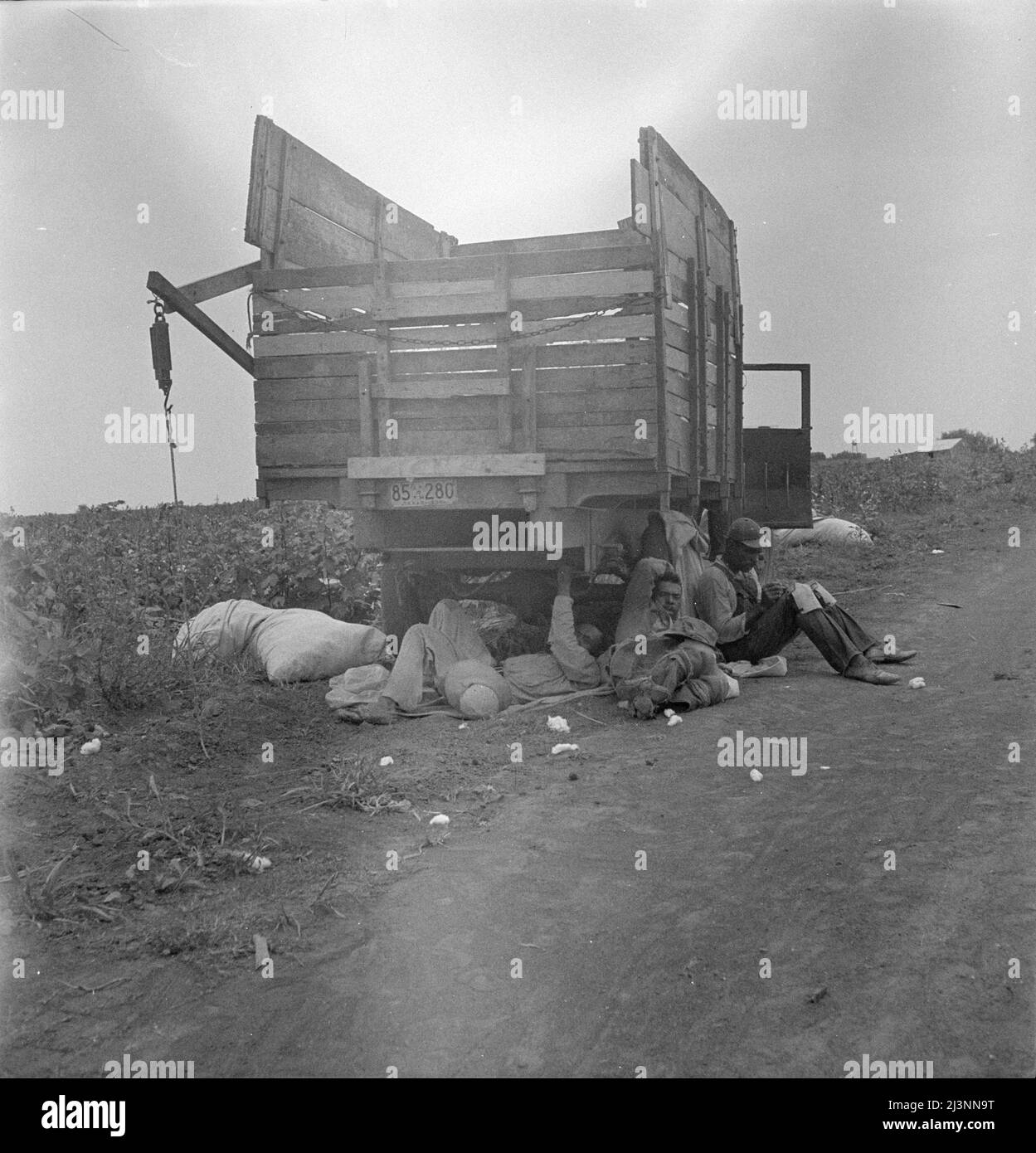 Mittagspause für Baumwollpflücker. In Der Nähe Von Corpus Christi, Texas. Stockfoto