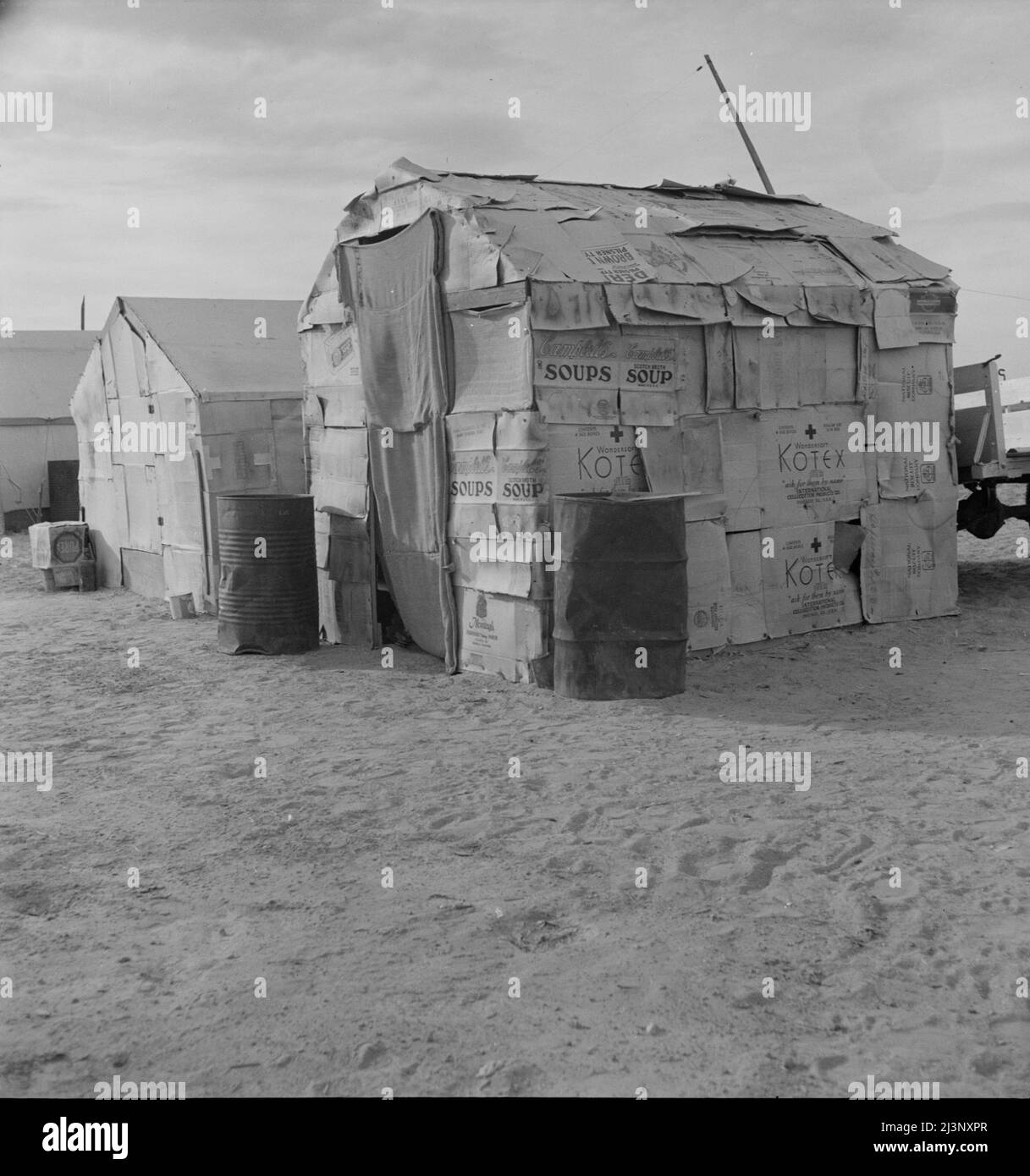 Das Zuhause eines Wanderarbeiters am Rande eines Erbsen-Feldes. Die Familie lebte hier den ganzen Winter hindurch. Imperial Valley, Kalifornien. [Unterstand aus Pappkartons mit Campbells Suppe, Badetüchern und Keksen]. Stockfoto