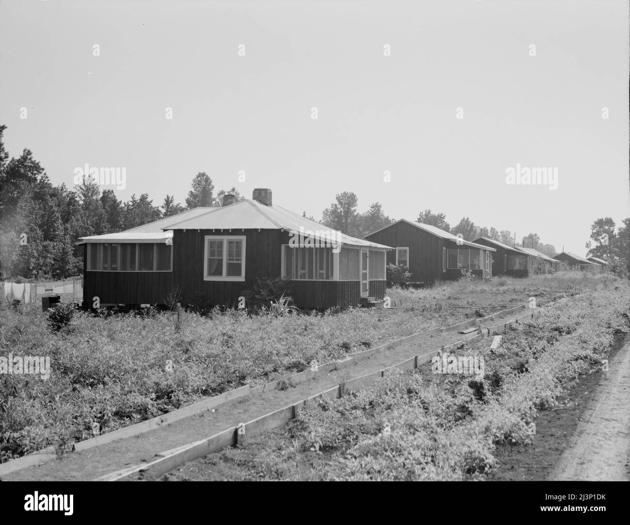 Hütten auf den Genossenschaftsfarmen von Delta. Hillhouse, Mississippi. Fensterscheiben und Veranden sind in Baumwollhütten ungewöhnlich. Stockfoto