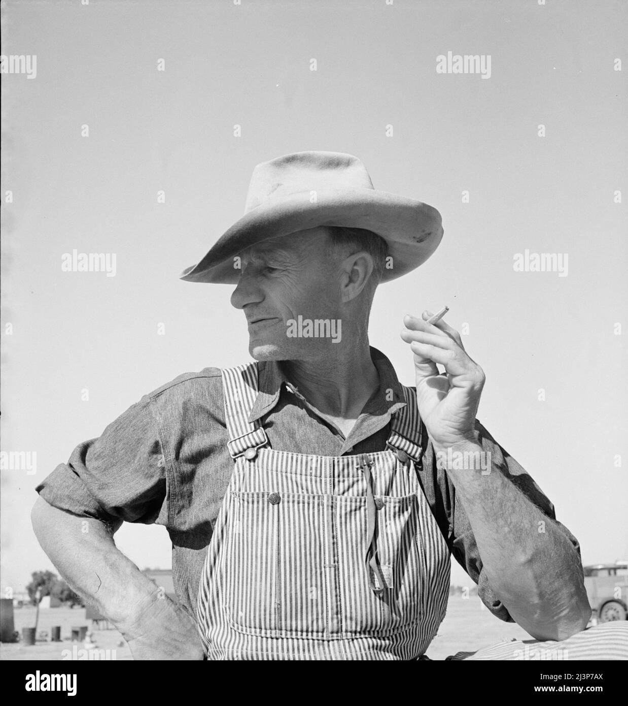 Der Bauer aus Nebraska kommt, um Erbsen zu pflücken. In Der Nähe Von Calipatria, Kalifornien. Stockfoto