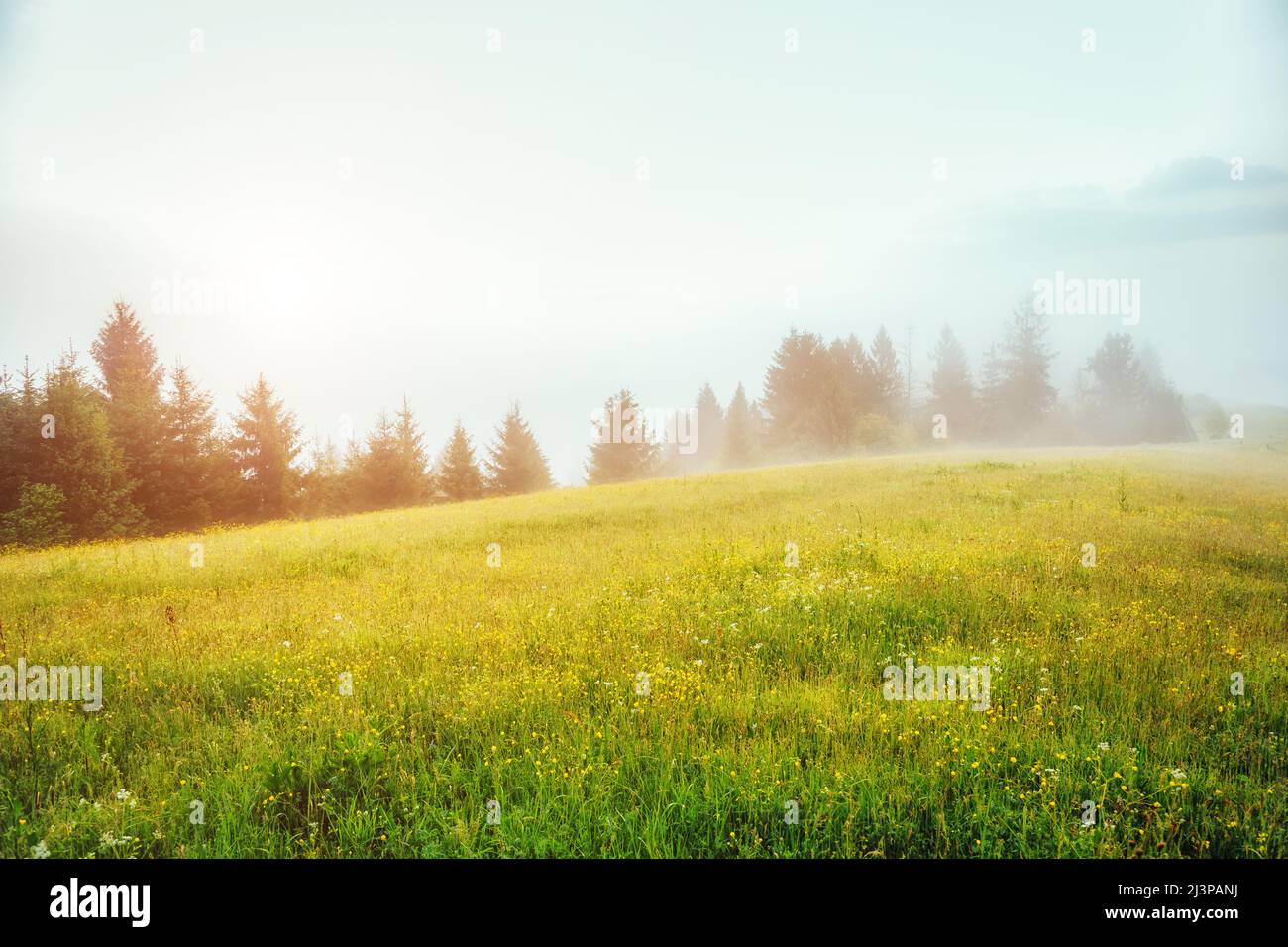 Fantastische grüne Hügel glühende durch Sonnenlicht in der Dämmerung. Dramatische morgen Szene. Ort Karpaten, Ukraine, Europa. Künstlerische Bild. Schönheit wird Stockfoto