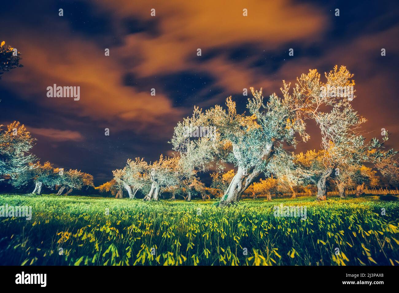 Einen fantastischen Blick auf den Garten im Mondlicht. Mediterranes Klima. Dramatische und malerische Szene. Ort: Sizilien, Kap Milazzo, Italien Stockfoto