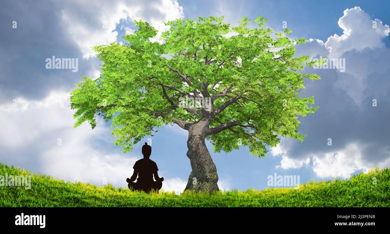 Silhouette einer Person, die unter dem Baum meditiert, Yoga- und Zen-Konzept Stockfoto