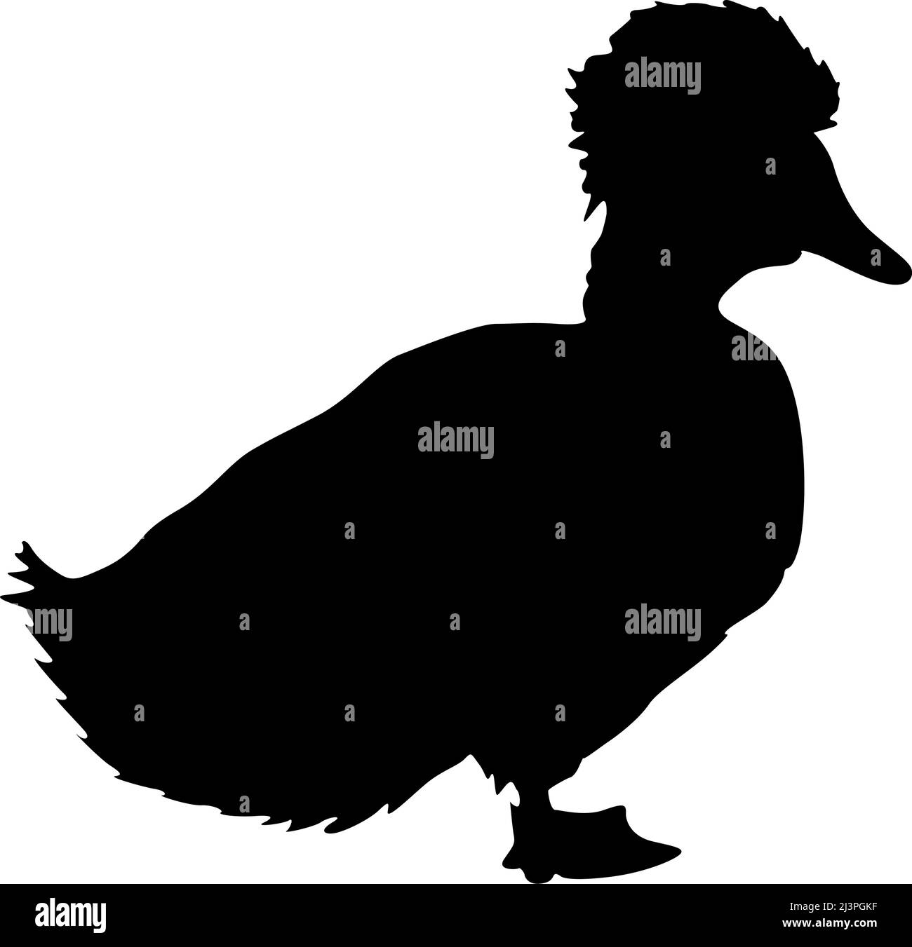 Silhouette vogel gans auf einem weißen Hintergrund. Stock Vektor