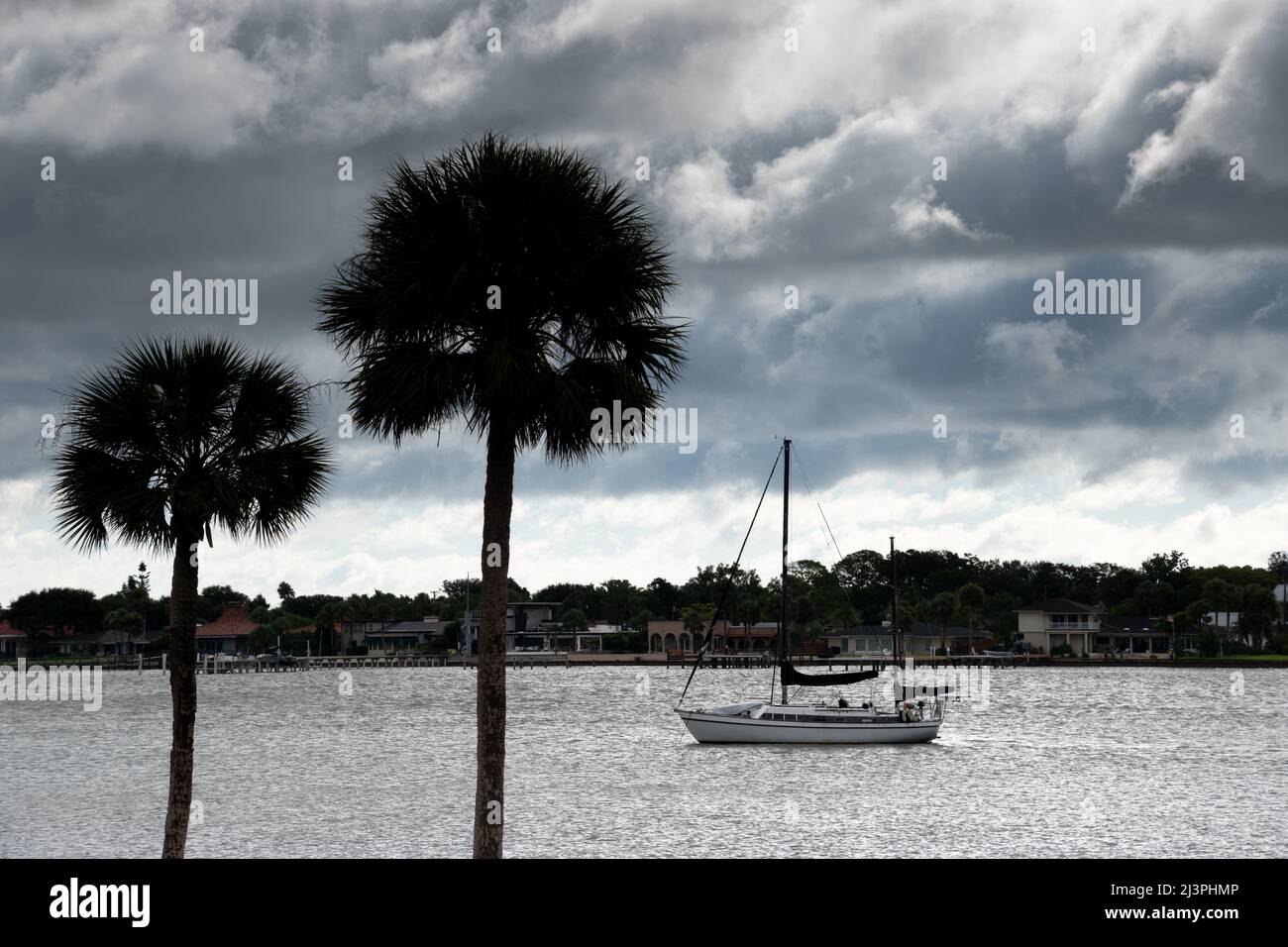 Ein Segelboot im Hafen mit zwei Palmen im Vordergrund und einem einrollenden Sturm Stockfoto
