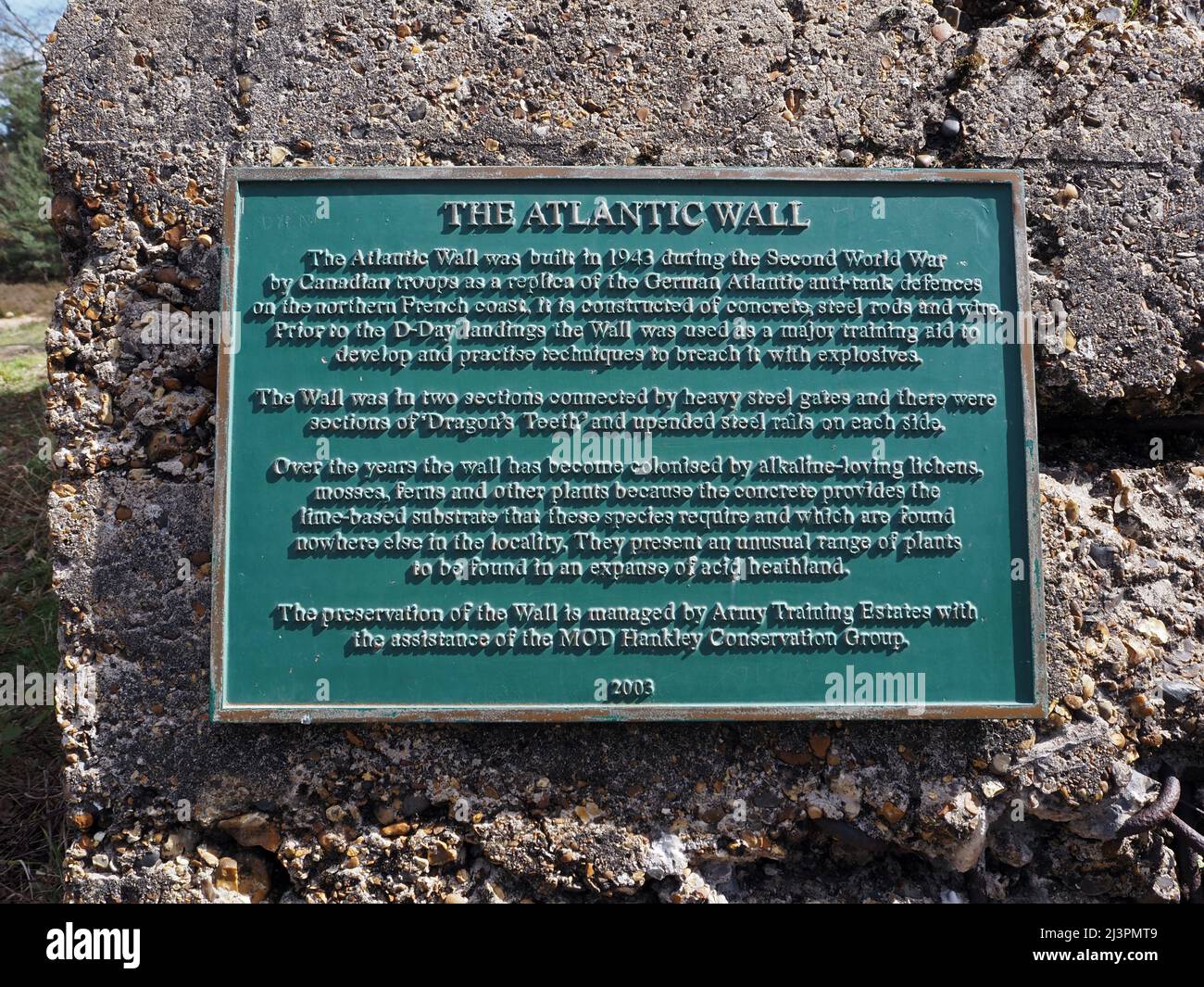 Die Atlantikmauer eine WW2 trainingsstarke Verteidigungsmauer in Hankley Common, Thursley, Surrey, England, Großbritannien. Stockfoto