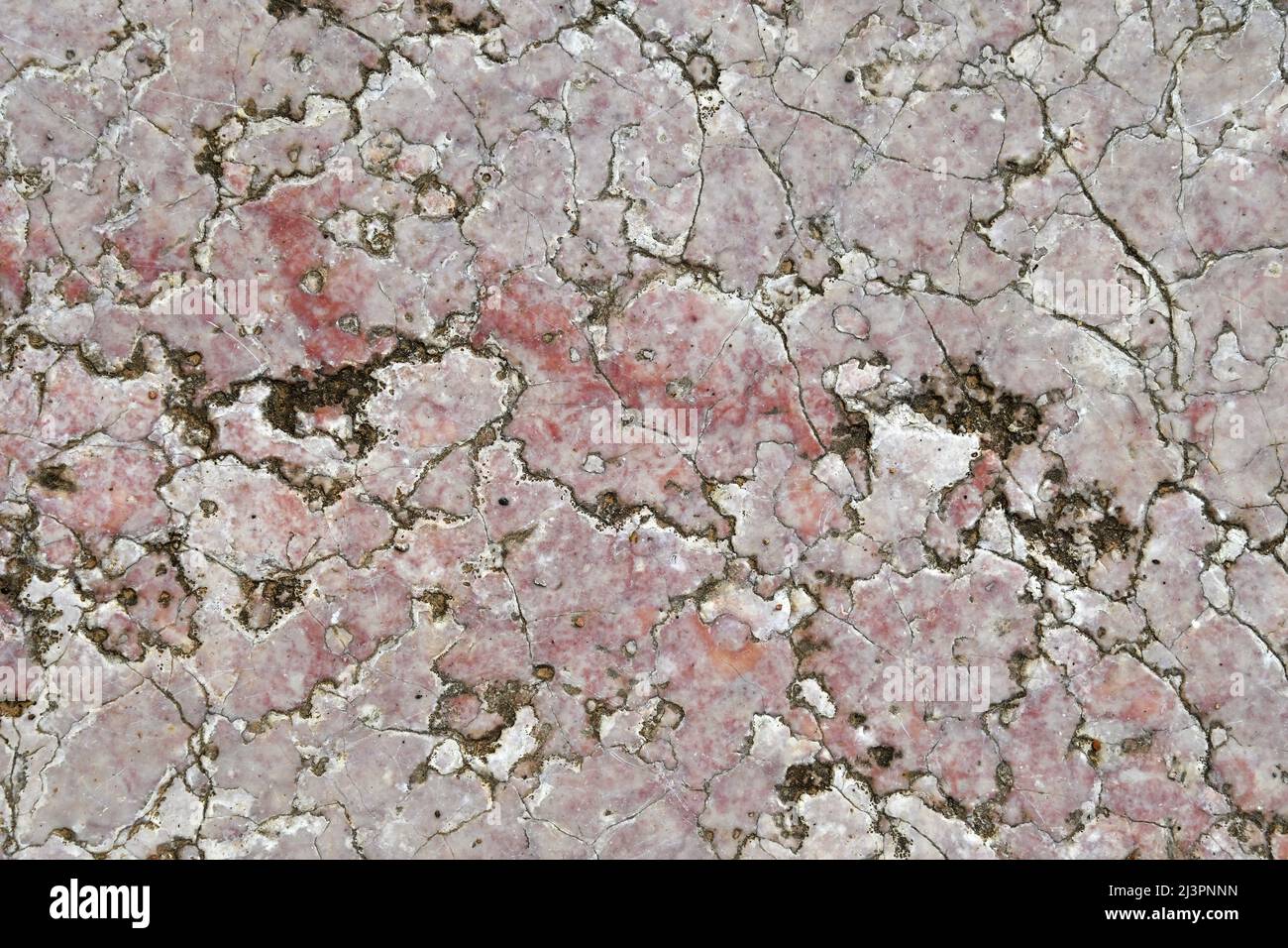 Steinpatina - Marmor Stockfoto