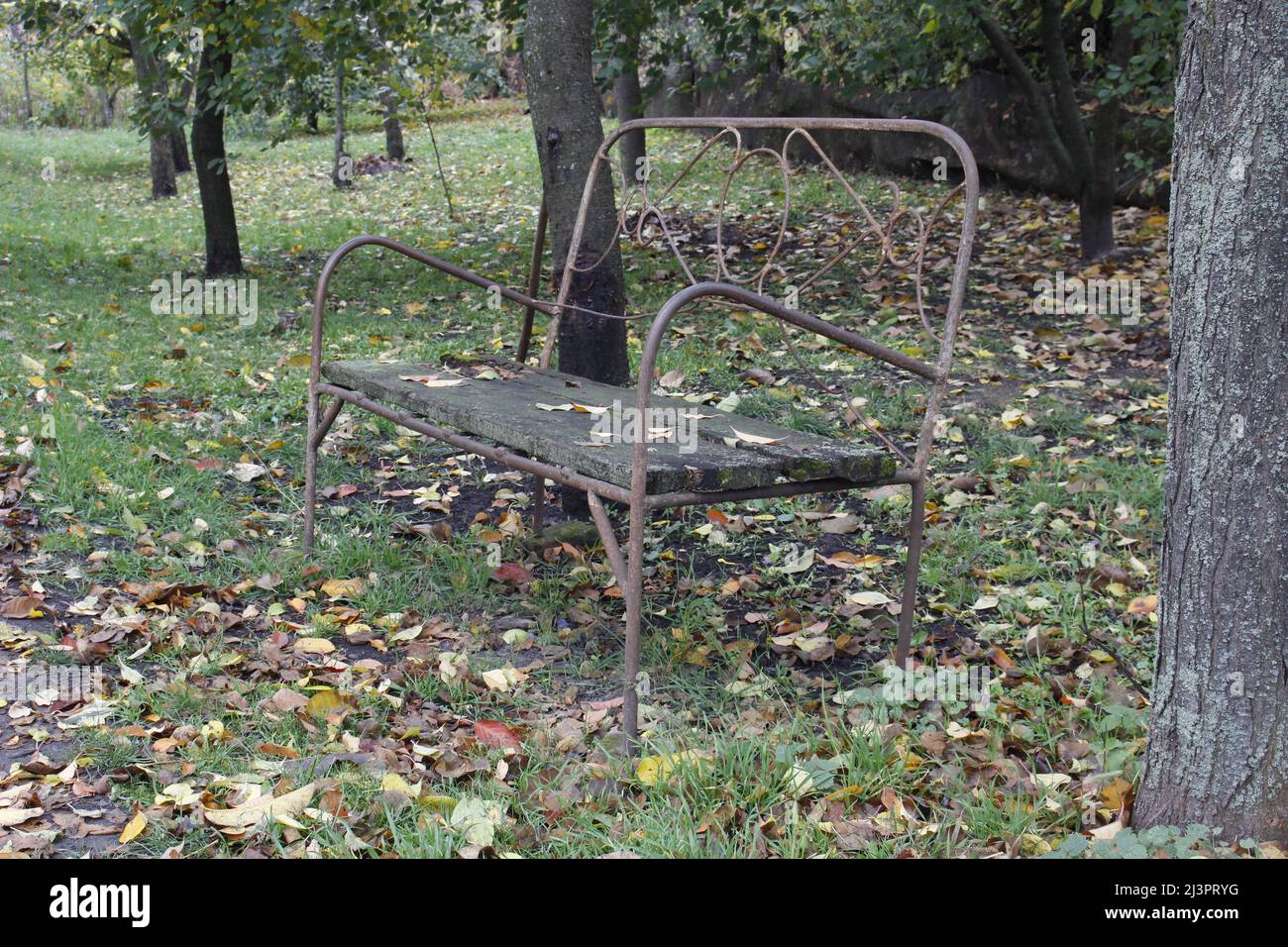 Alte Metallbank im Garten. Der Herbst zieht um ihn herum. Stockfoto