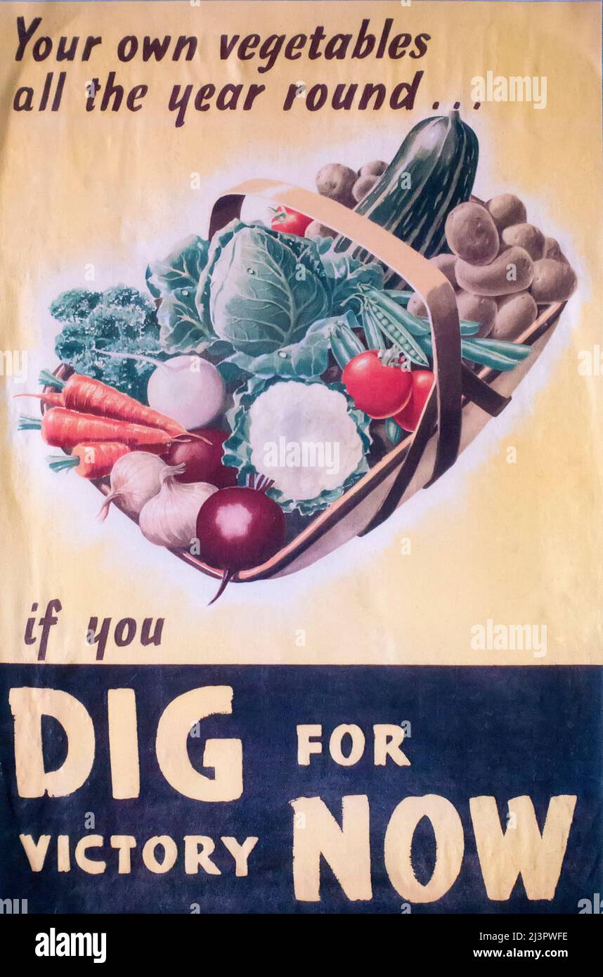 WW2 „Dig for Victory Now“-Poster Stockfoto