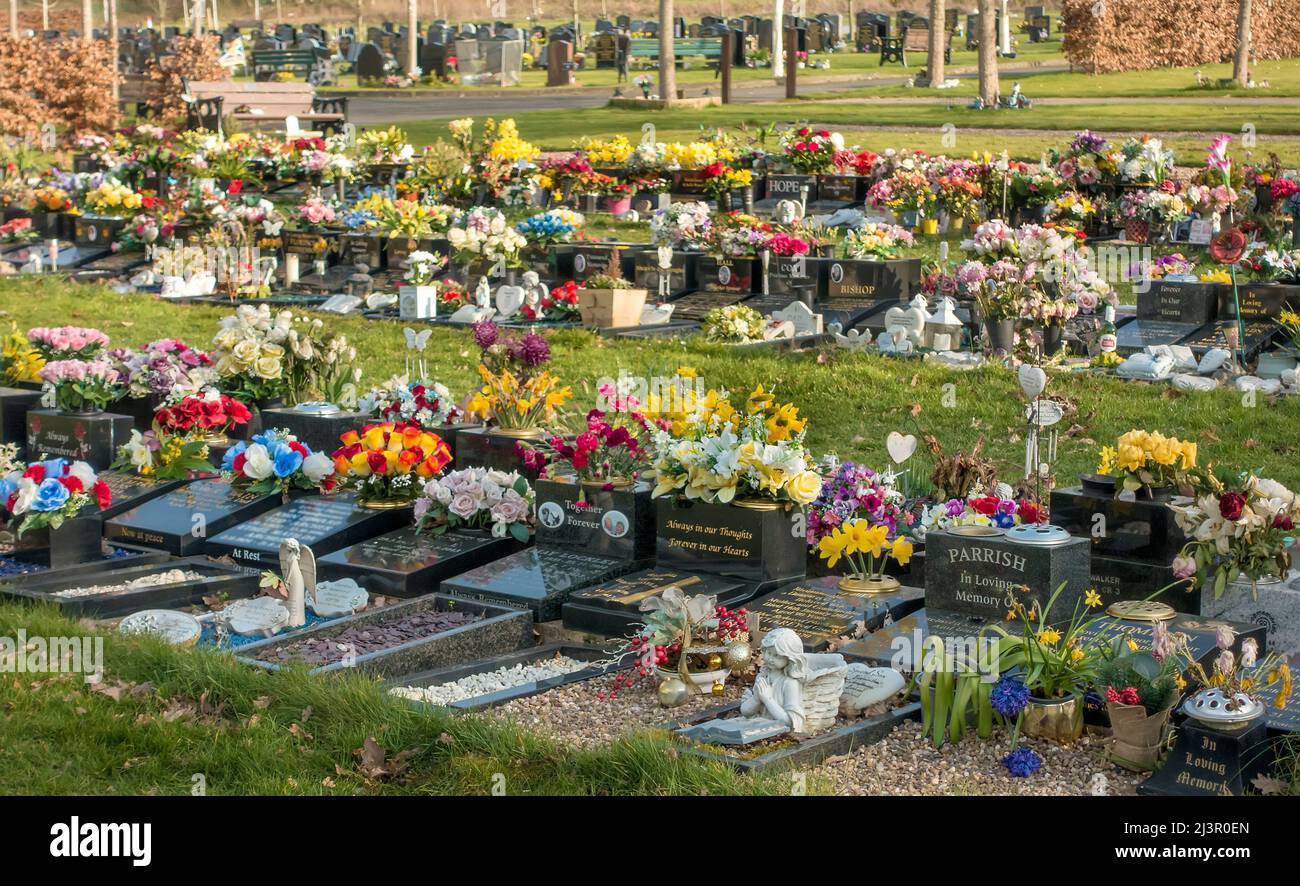 Blumen schmücken Grabsteine auf dem Friedhof England, Großbritannien Stockfoto