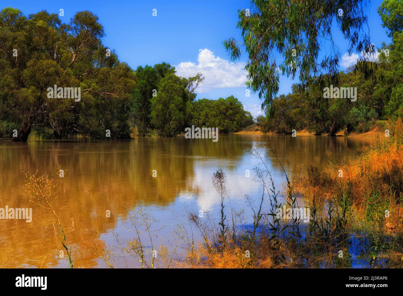An einem sonnigen Sommertag fliesst das Wasser des Darling River in Wilcannia, der Stadt des australischen Outback. Stockfoto