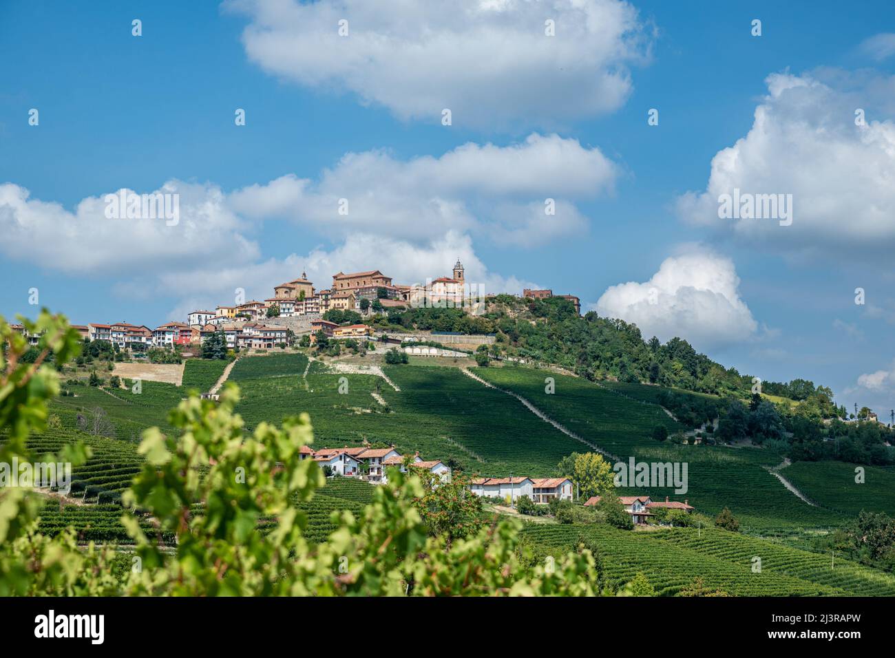 Weinberge von barolo, La Morra (CN), Gebiet Langhe, Piemont, Italien Stockfoto