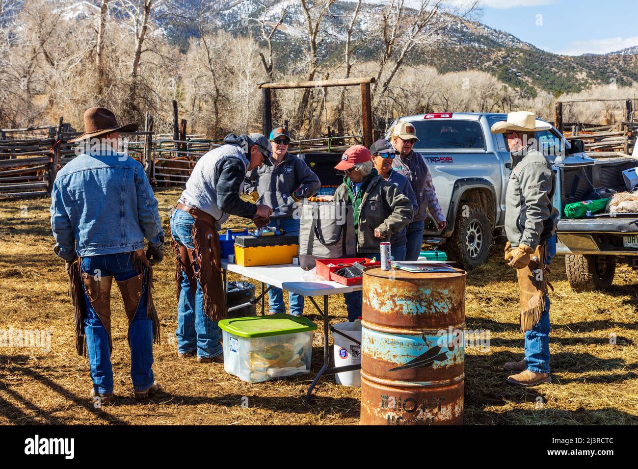Freiwillige und Freunde treffen sich auf der Hutchinson Ranch in der Nähe von Salida: Colorado; USA Stockfoto