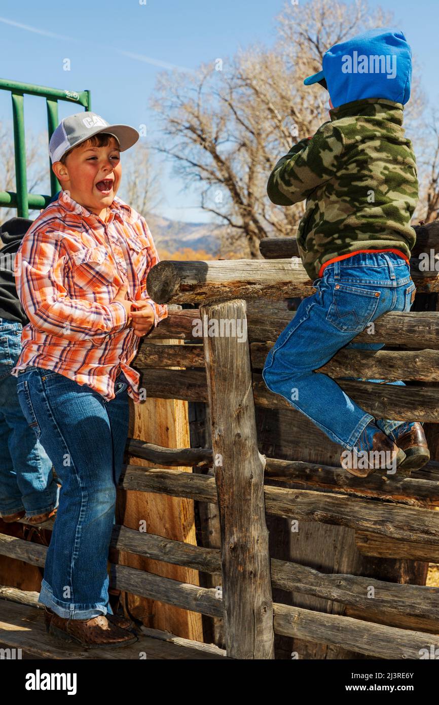 Ranch-Kinder spielen auf der Hutchinson Ranch in der Nähe von Salida im Frühjahr beim Branding Event: Colorado; USA Stockfoto