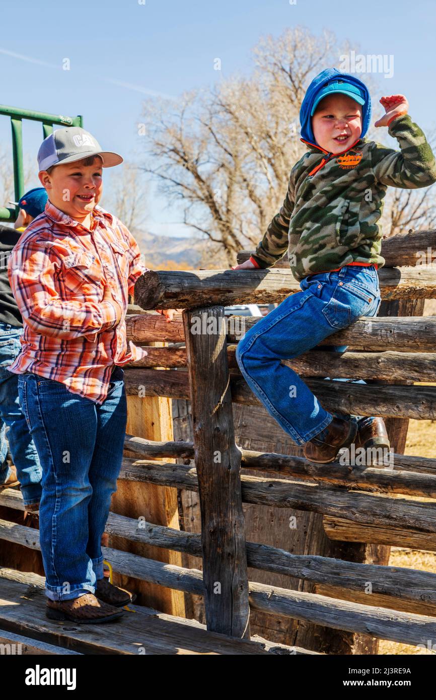 Ranch-Kinder spielen auf der Hutchinson Ranch in der Nähe von Salida im Frühjahr beim Branding Event: Colorado; USA Stockfoto