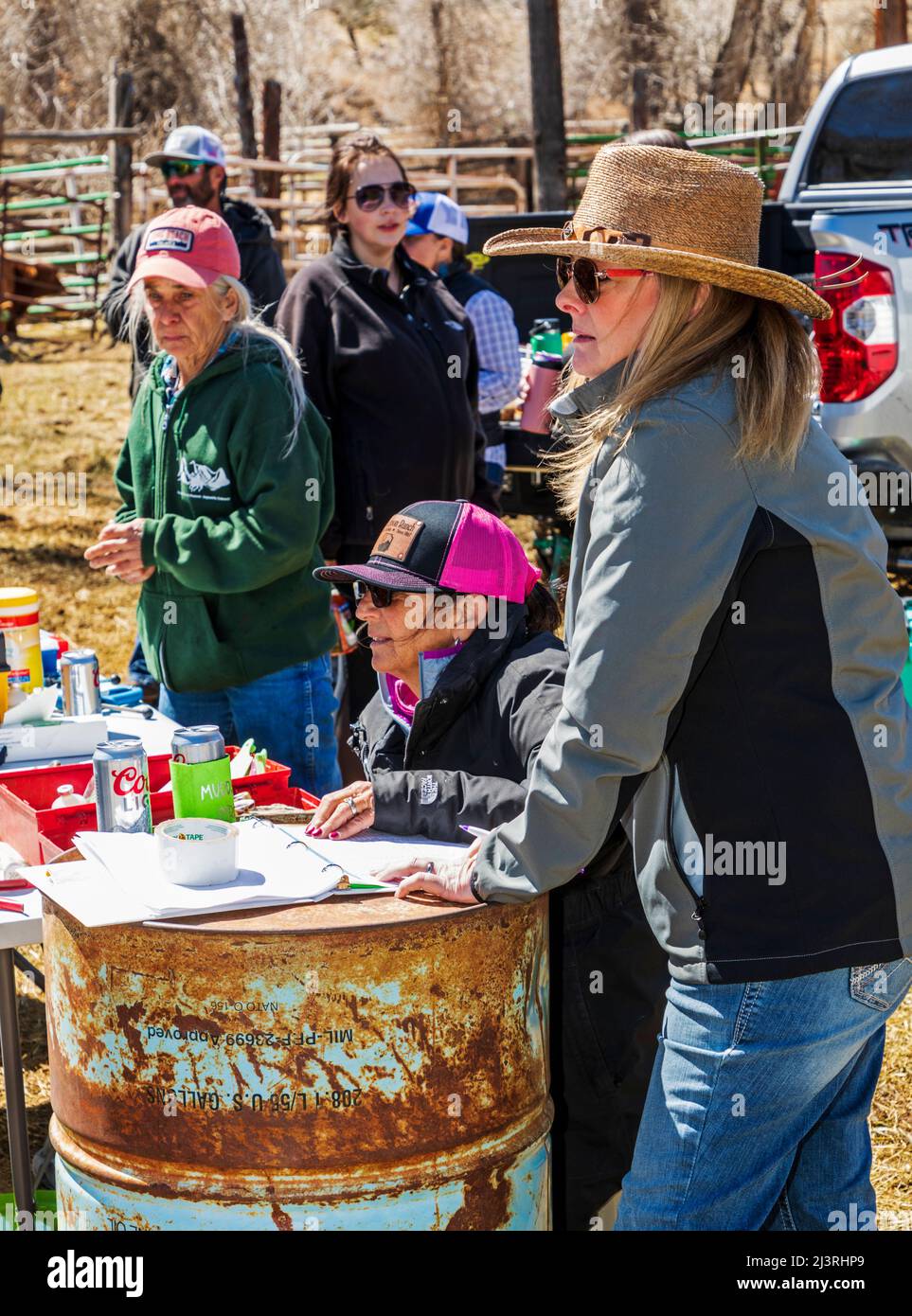 Freiwillige und Freunde halten auf der Hutchinson Ranch in der Nähe von Salida, Colorado, USA, Bilanz beim Spring Branding Event Stockfoto
