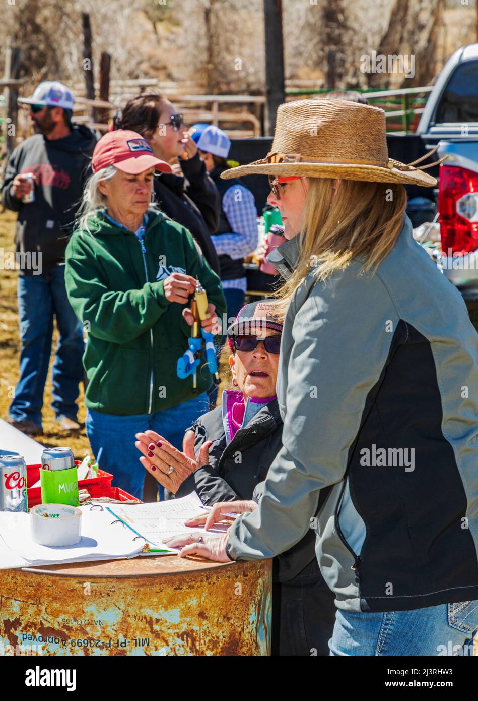 Freiwillige und Freunde halten auf der Hutchinson Ranch in der Nähe von Salida, Colorado, USA, Bilanz beim Spring Branding Event Stockfoto