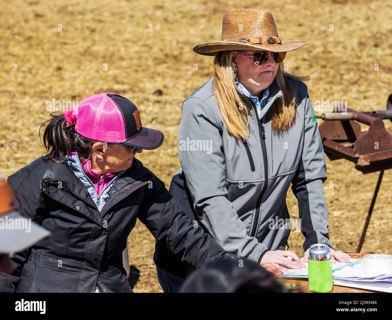 Freiwillige und Freunde halten auf der Hutchinson Ranch in der Nähe von Salida, Colorado, USA, Bilanz beim Spring Branding Event Stockfoto