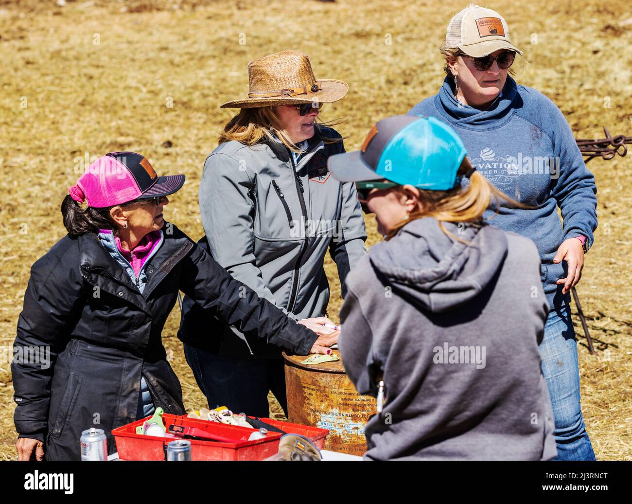 Freiwillige und Freunde halten auf der Hutchinson Ranch in der Nähe von Salida, Colorado, USA, Bilanz beim Spring Branding Event Stockfoto