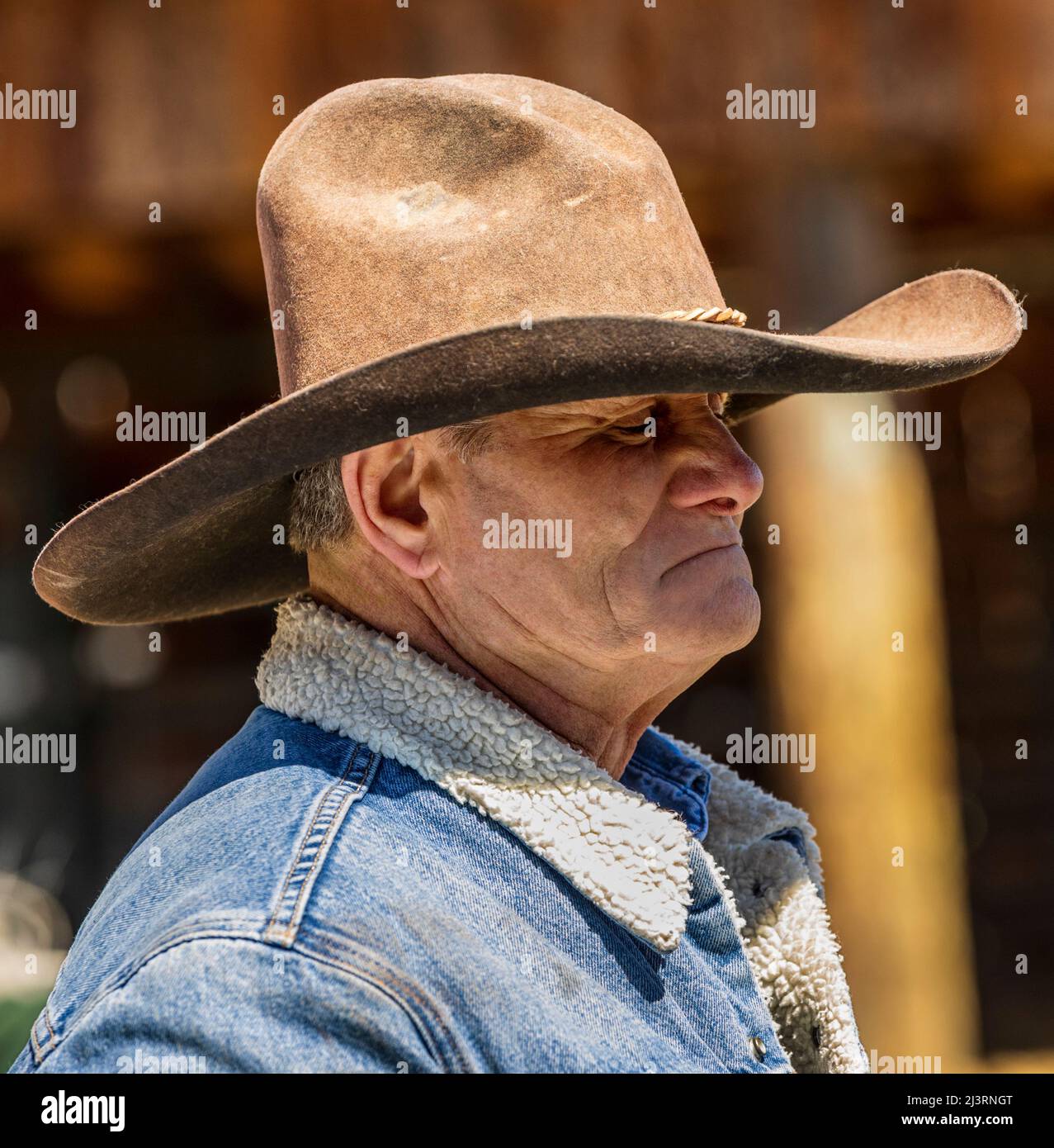 Cowboy, der bei einer Frühlingsmarkenveranstaltung auf der Hutchinson Ranch in der Nähe von Salida in Colorado, USA, arbeitet Stockfoto